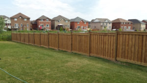 Cedar privacy fence