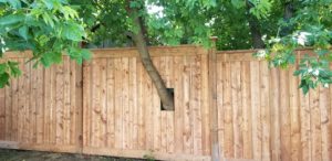 Custom Fence